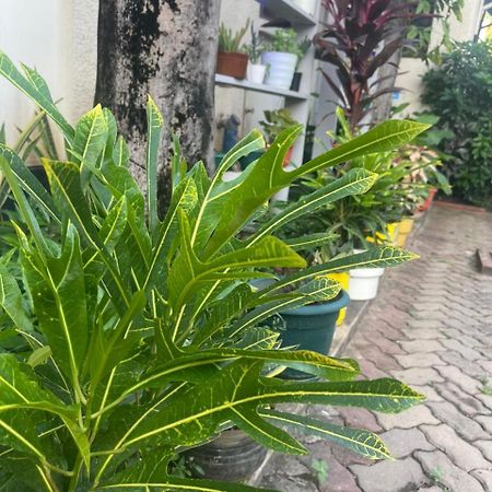 Bed and Breakfast L&J Modern Backpackers Kinondoni à Dar es Salaam Extérieur photo