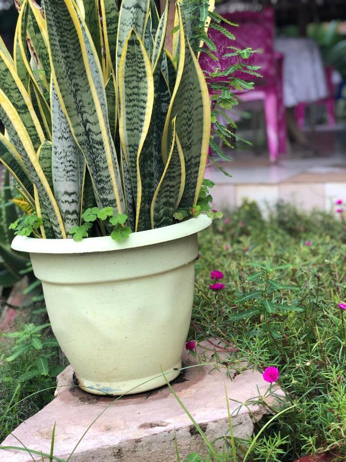 Bed and Breakfast L&J Modern Backpackers Kinondoni à Dar es Salaam Extérieur photo