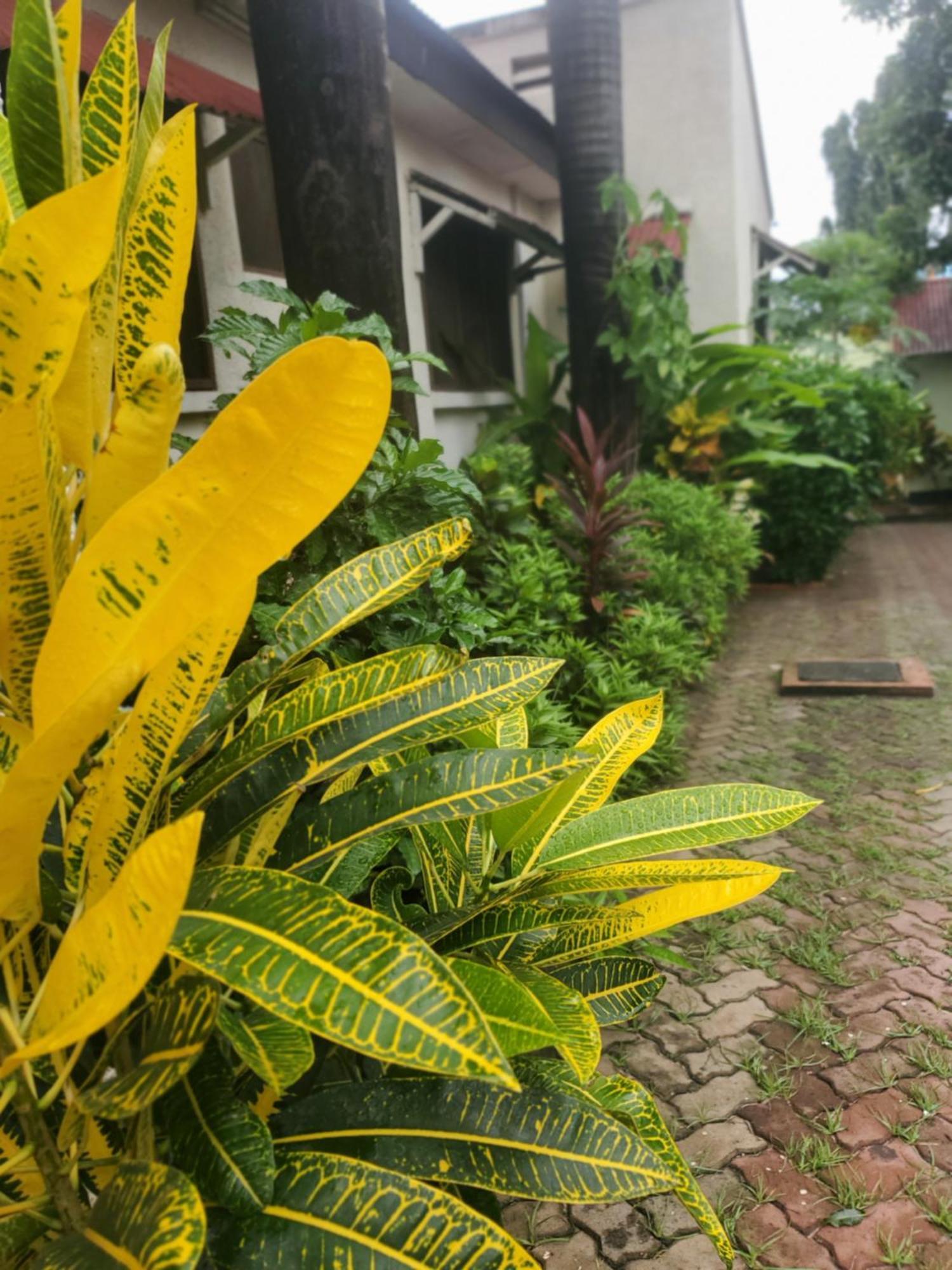 Bed and Breakfast L&J Modern Backpackers Kinondoni à Dar es Salaam Extérieur photo
